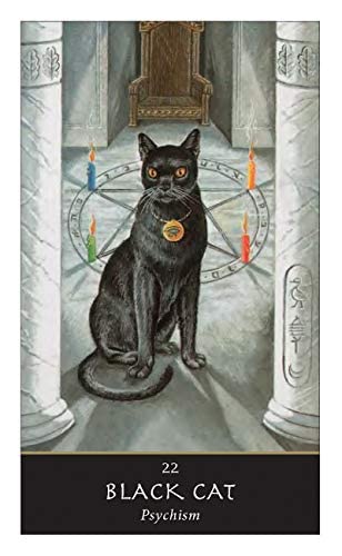The Witches Oracle