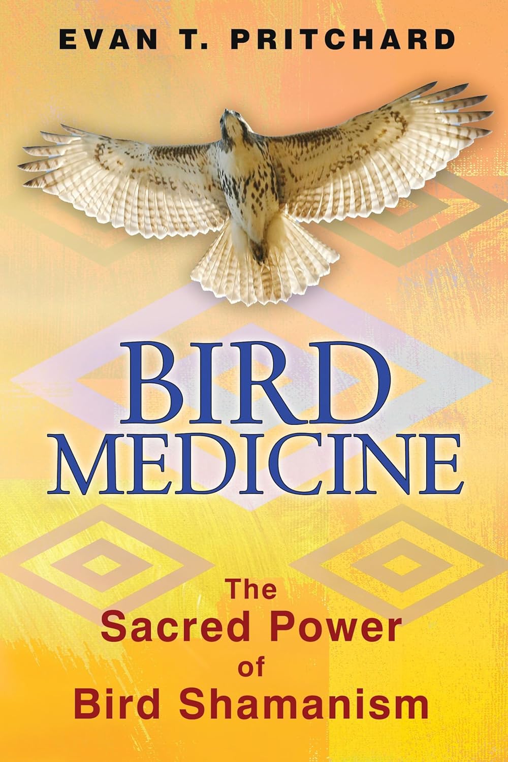 Bird Medicine the sacred power of bird shamanism