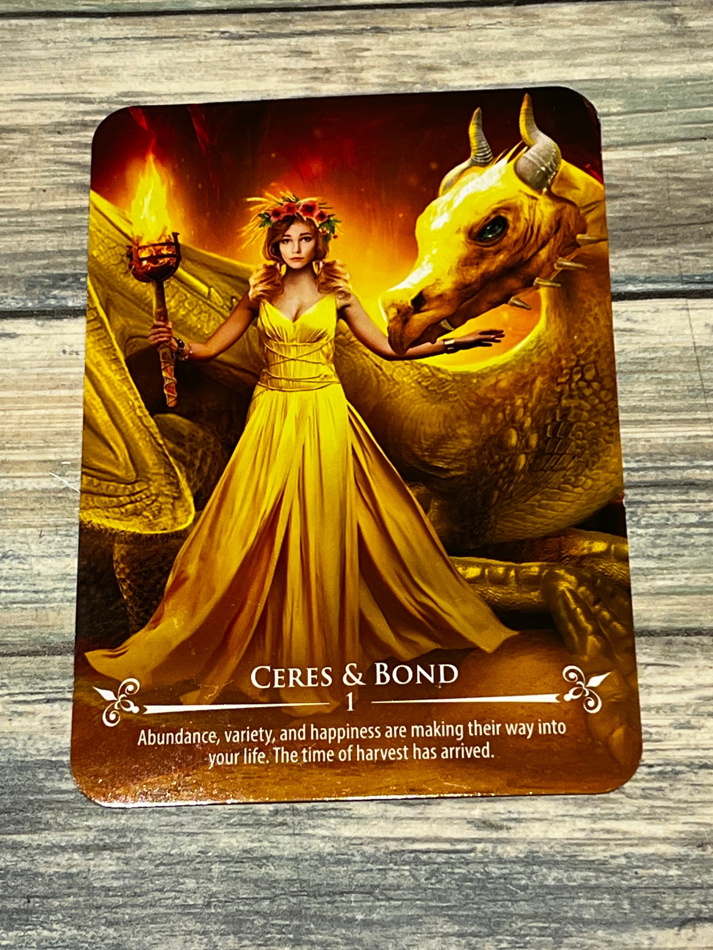 Dragon Riders Oracle