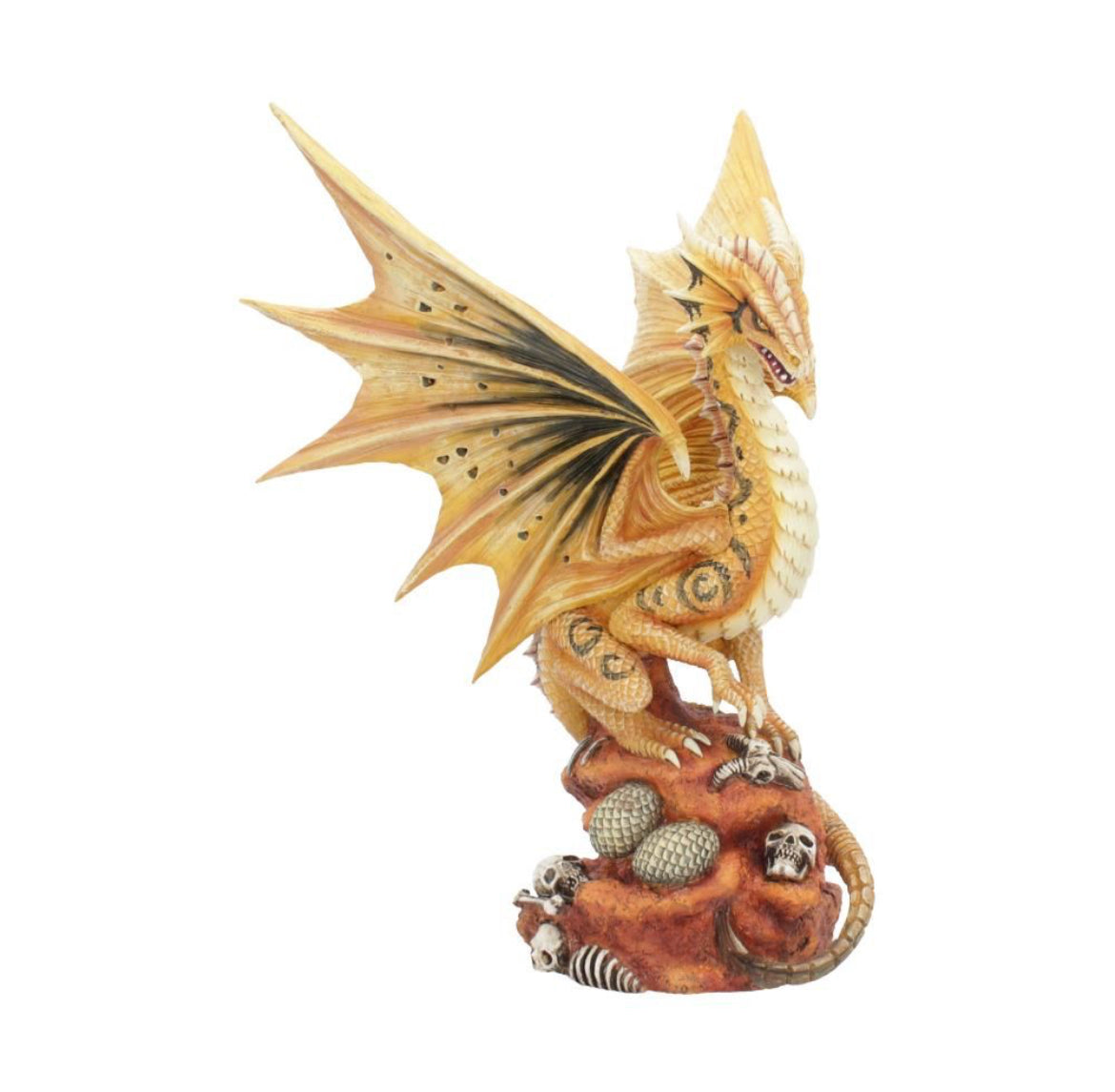 Adult Desert Dragon 24.5cm