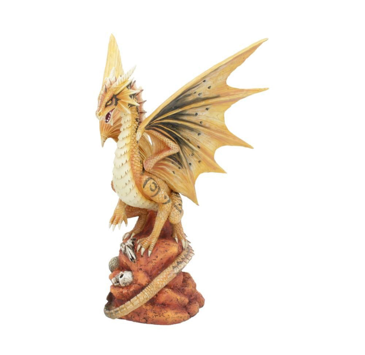 Adult Desert Dragon 24.5cm