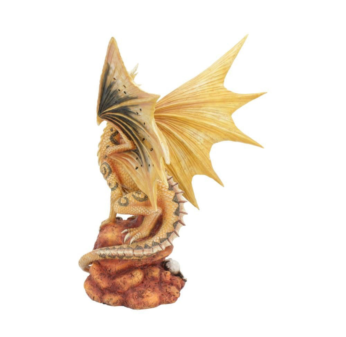Adult Desert Dragon 24.5cm