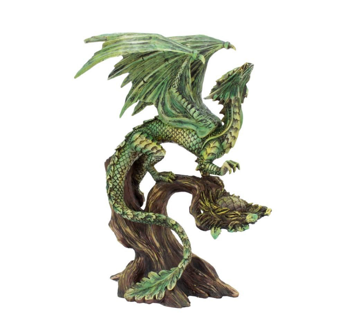 Adult Forest Dragon 25.5cm