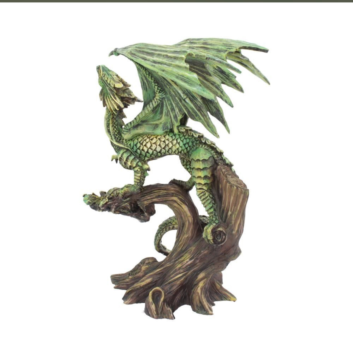 Adult Forest Dragon 25.5cm