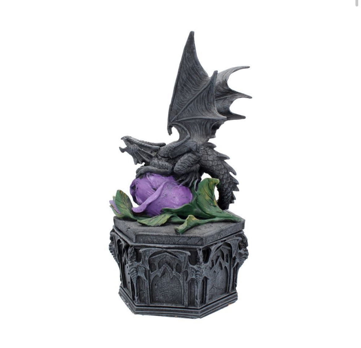 Dragon Beauty Box 25cm
