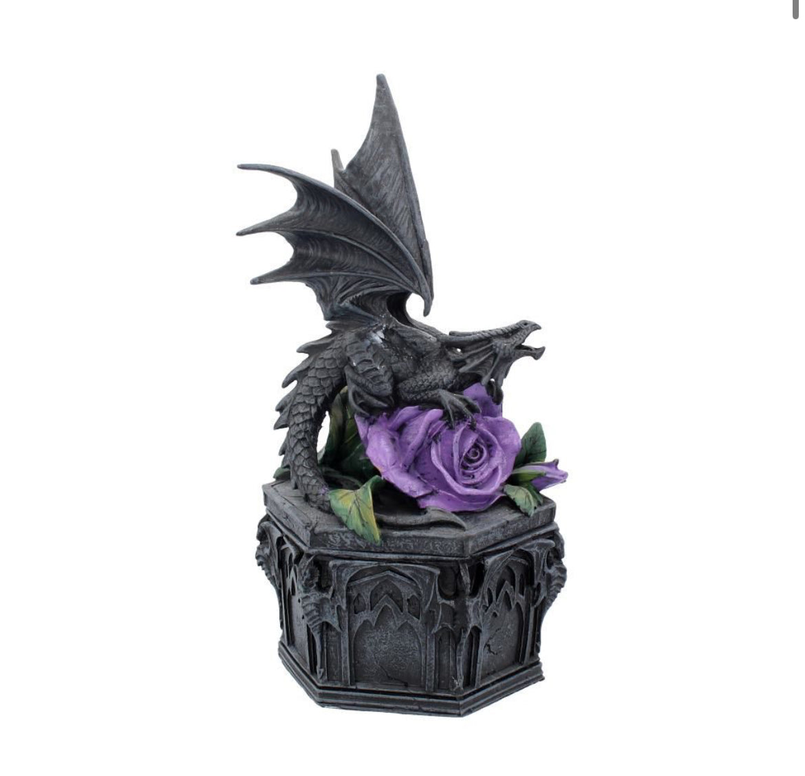 Dragon Beauty Box 25cm