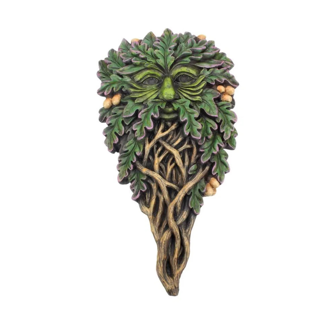 All Seeing Oak 29cm