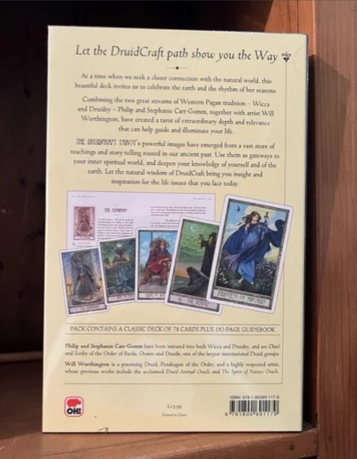 Druid Craft Tarot, The