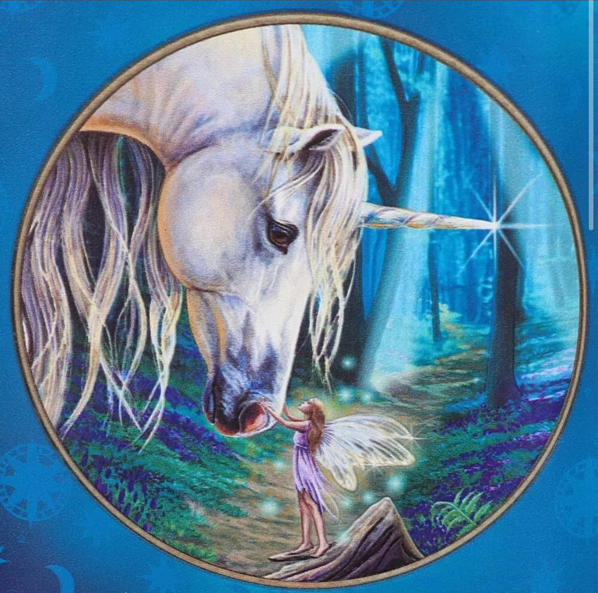 Fairy Whispers Embossed Purse 18.5cm