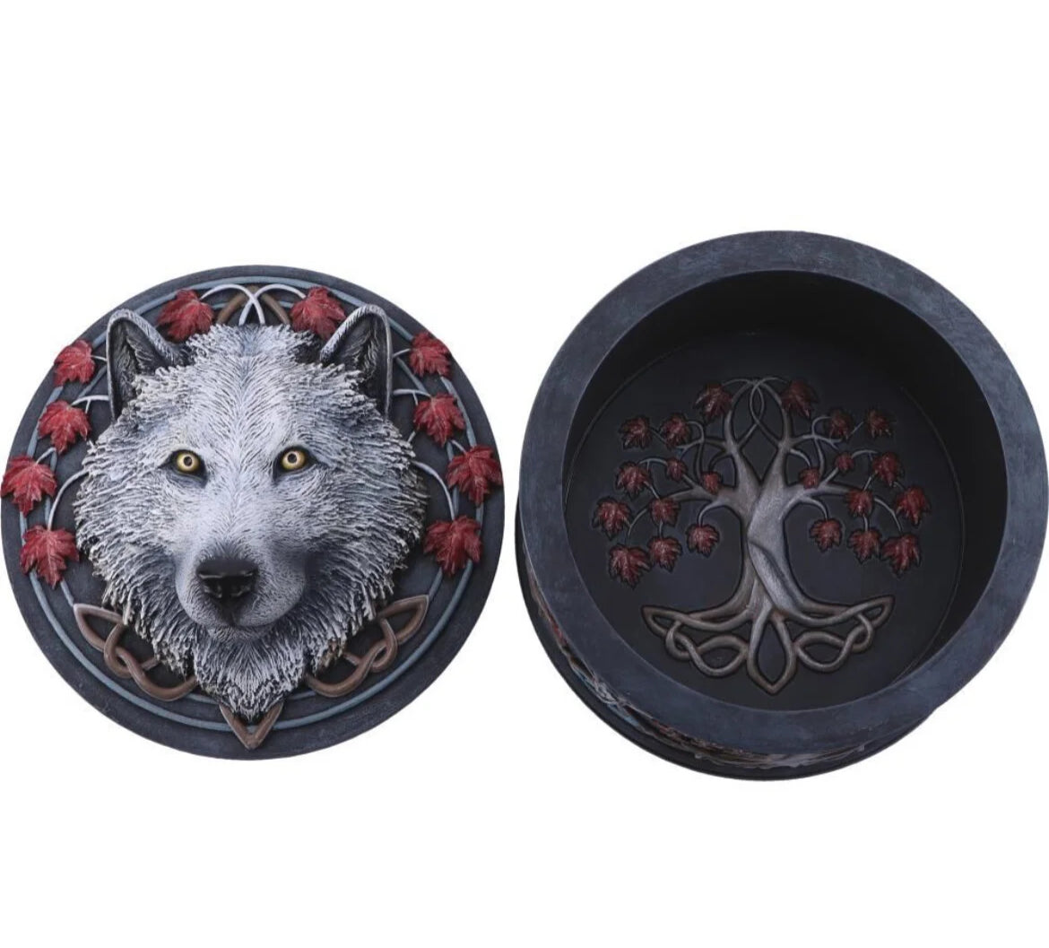 Guardian of the Fall box 11cm