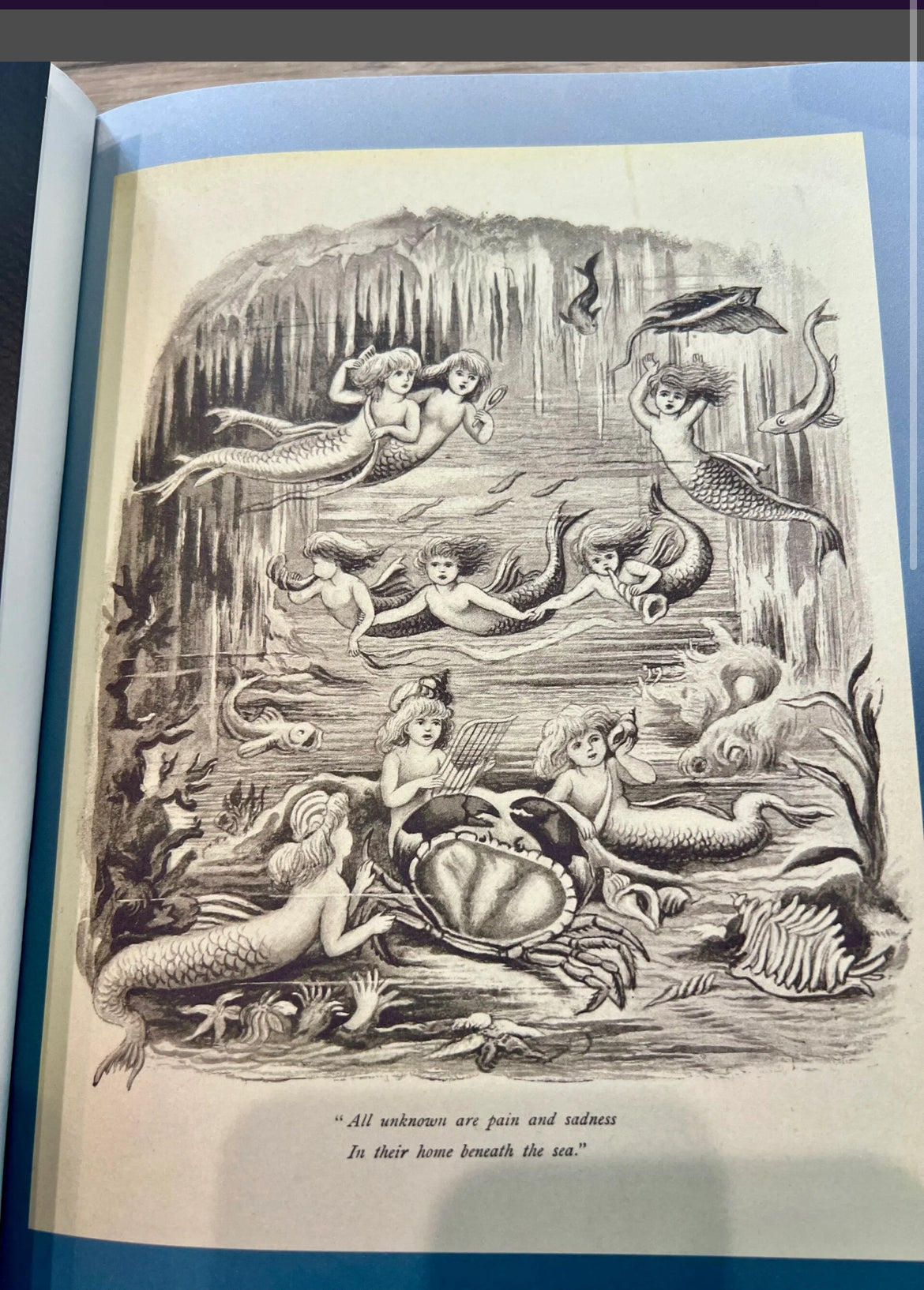 Mermaids Mirror Journal