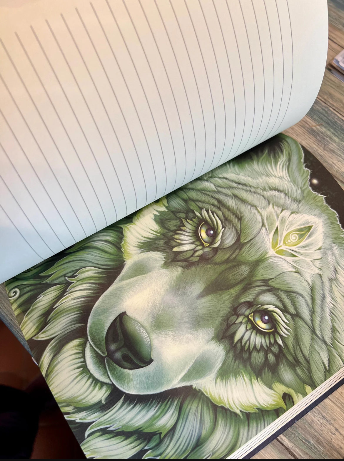 Seek Journal