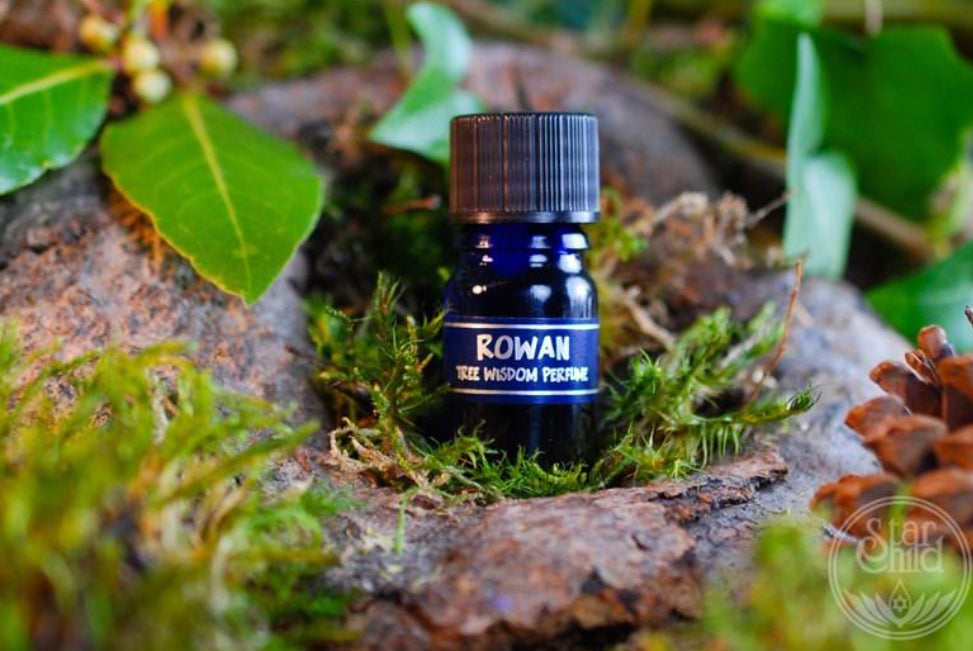 Rowan Tree Perfume 5ml