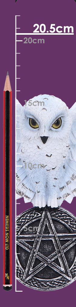 Owl Talisman20.5cm
