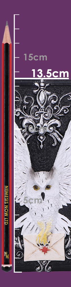 Owl Messenger Box 14cm