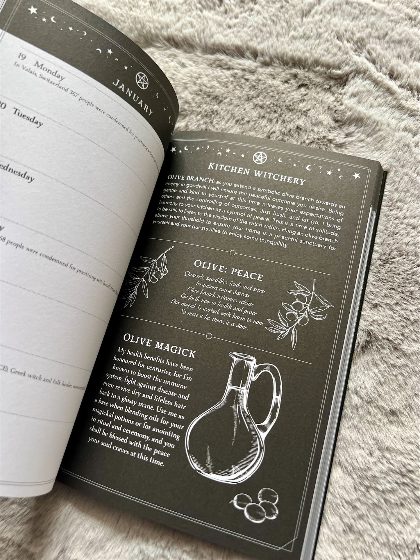 2026 Witch's Diary - Northern Hemisphere