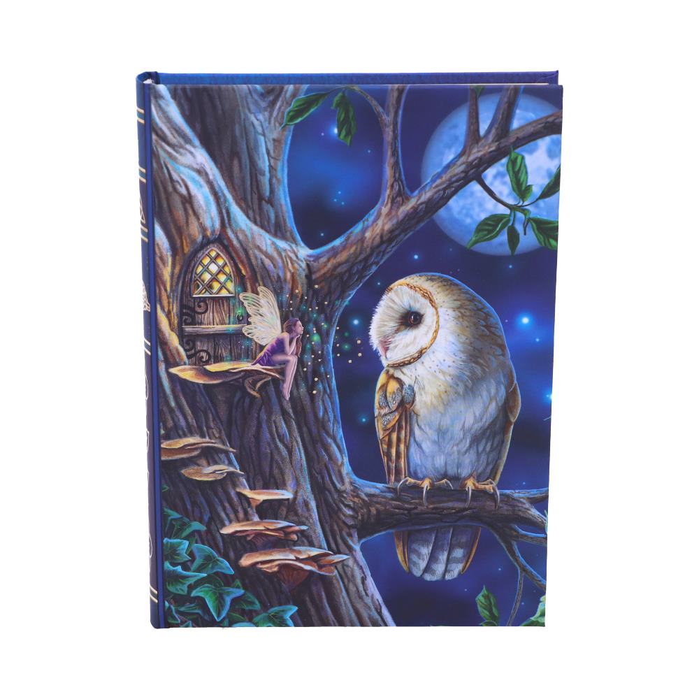 Fairy Tales Notebook