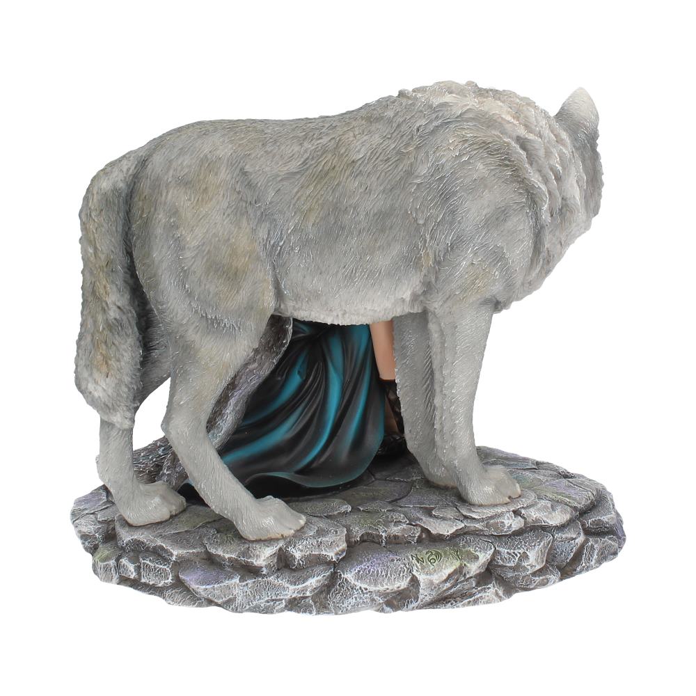 Protector (limited edition) 25cm