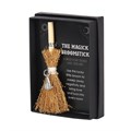 Magic Broomstick - Witches Hat