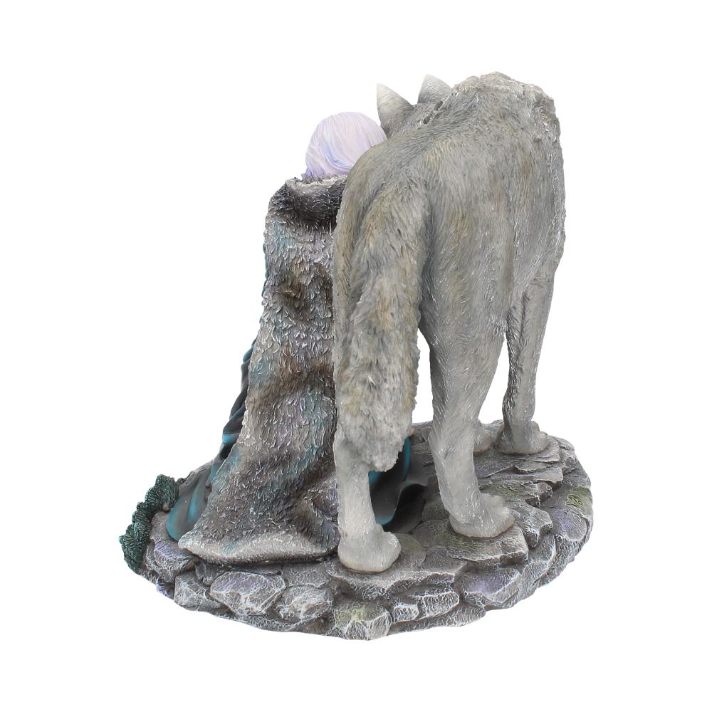 Protector (limited edition) 25cm