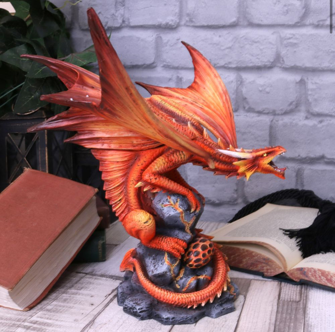 Dragons