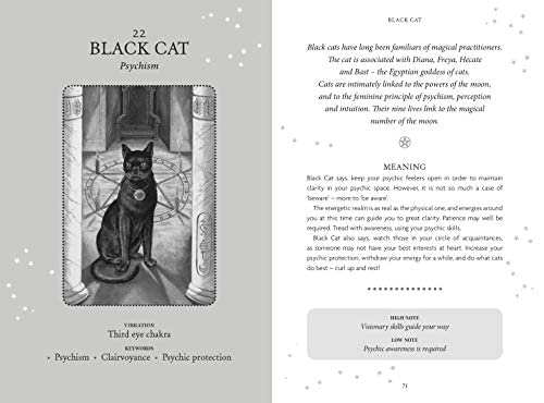 The Witches Oracle