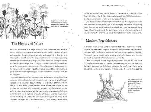 The Witches Oracle