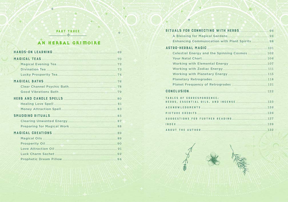 Wicca Herbal Magic by Lisa Chamberlain