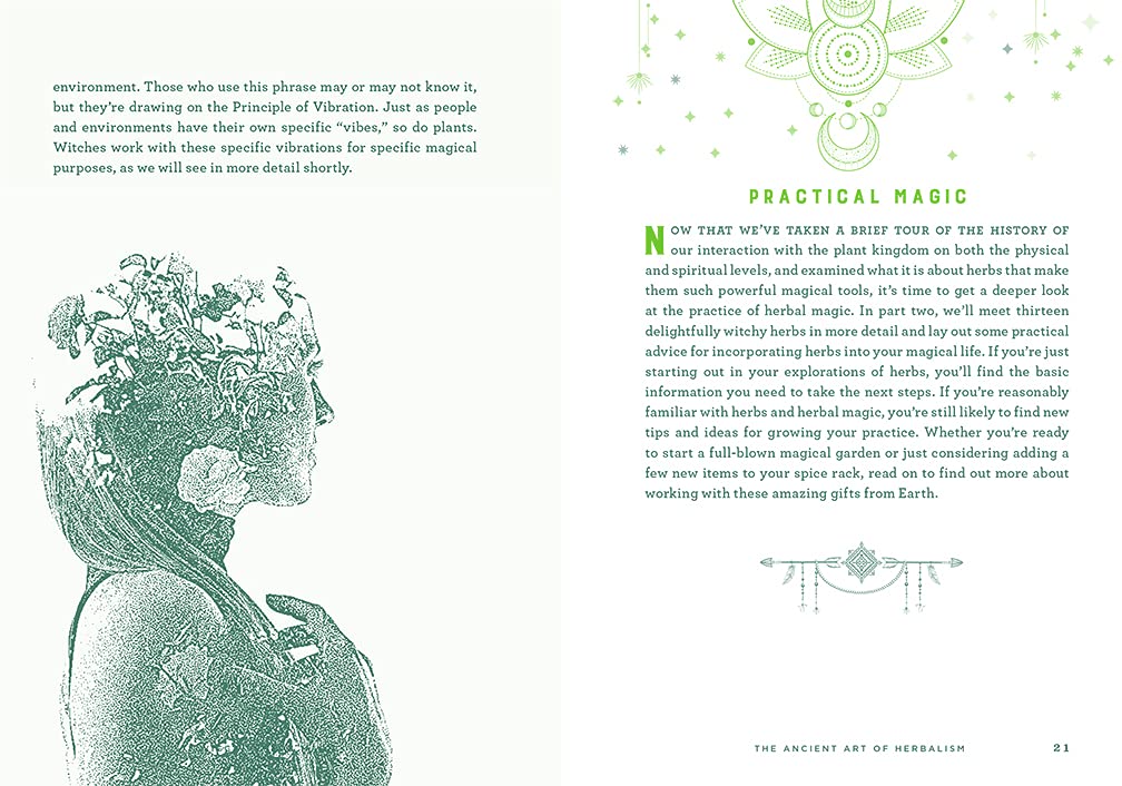 Wicca Herbal Magic by Lisa Chamberlain