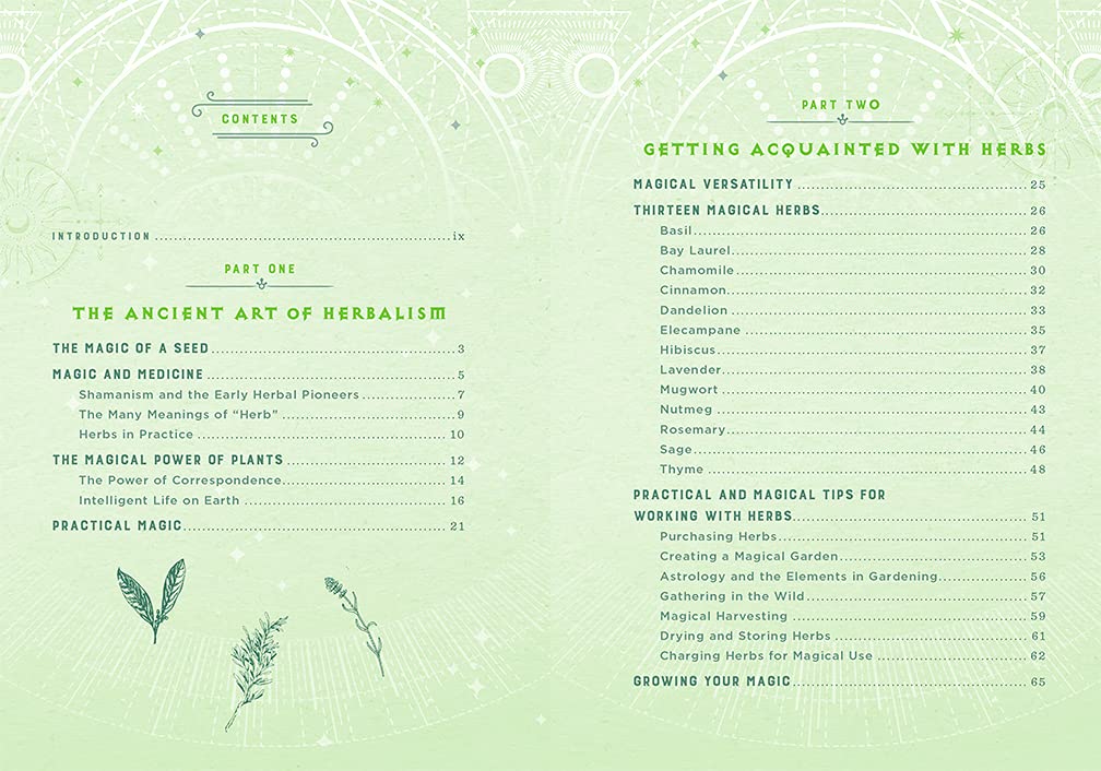 Wicca Herbal Magic by Lisa Chamberlain