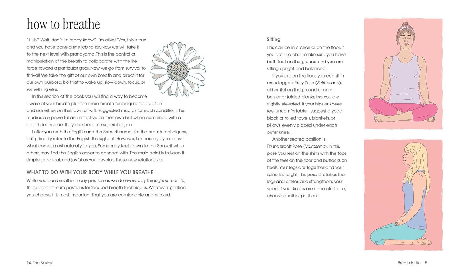 Healing Breath and Mudras