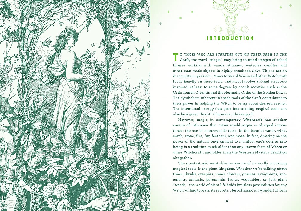 Wicca Herbal Magic by Lisa Chamberlain