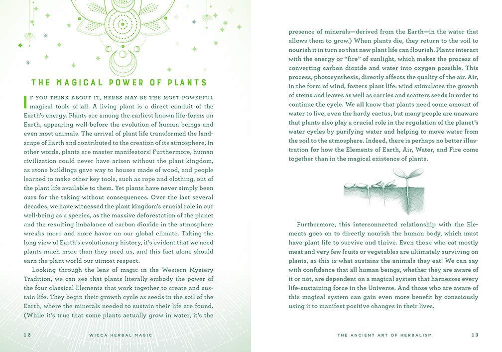 Wicca Herbal Magic by Lisa Chamberlain
