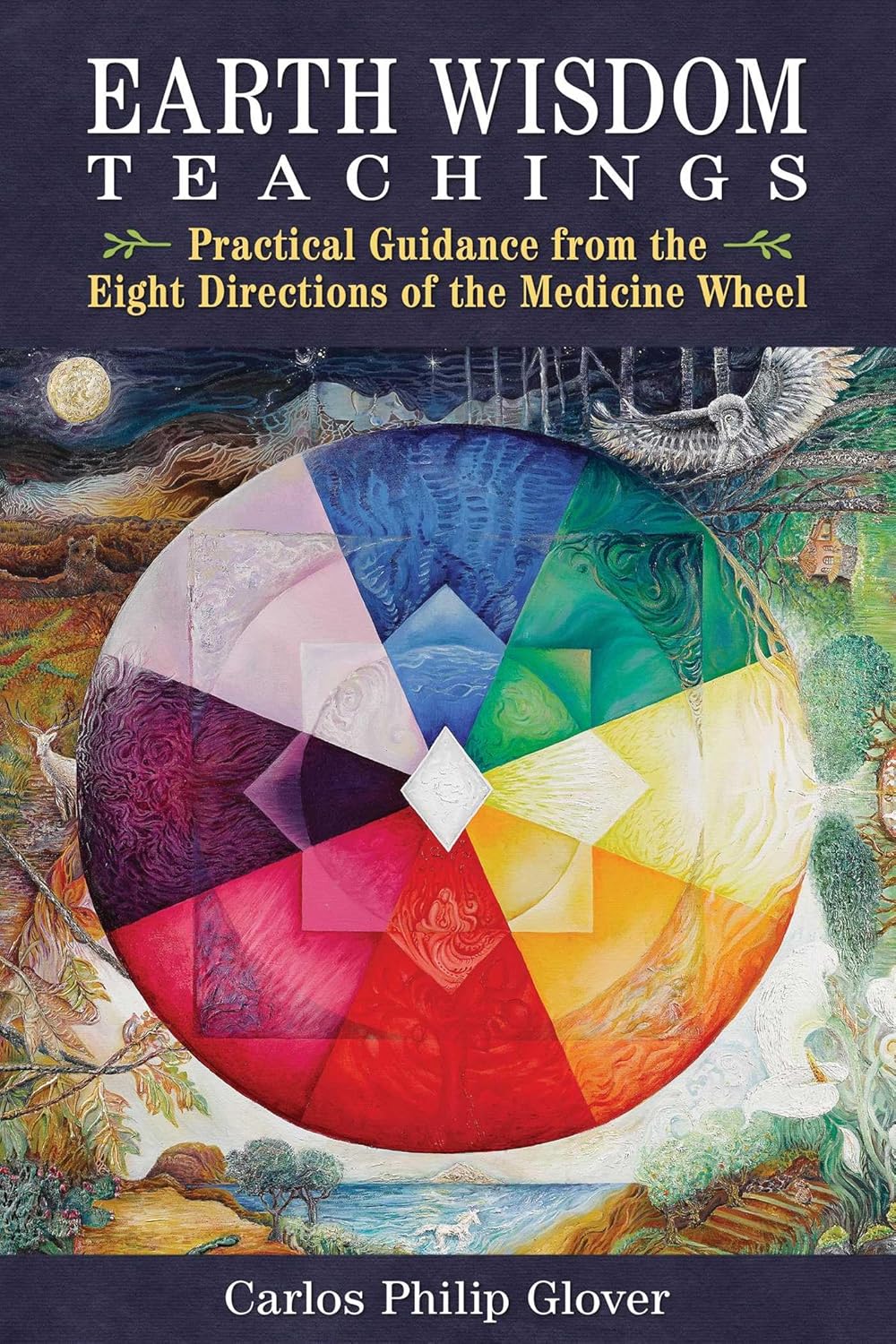 Earth Wisdom Teachings - practical guidance from the eight directions of the medicine wheel