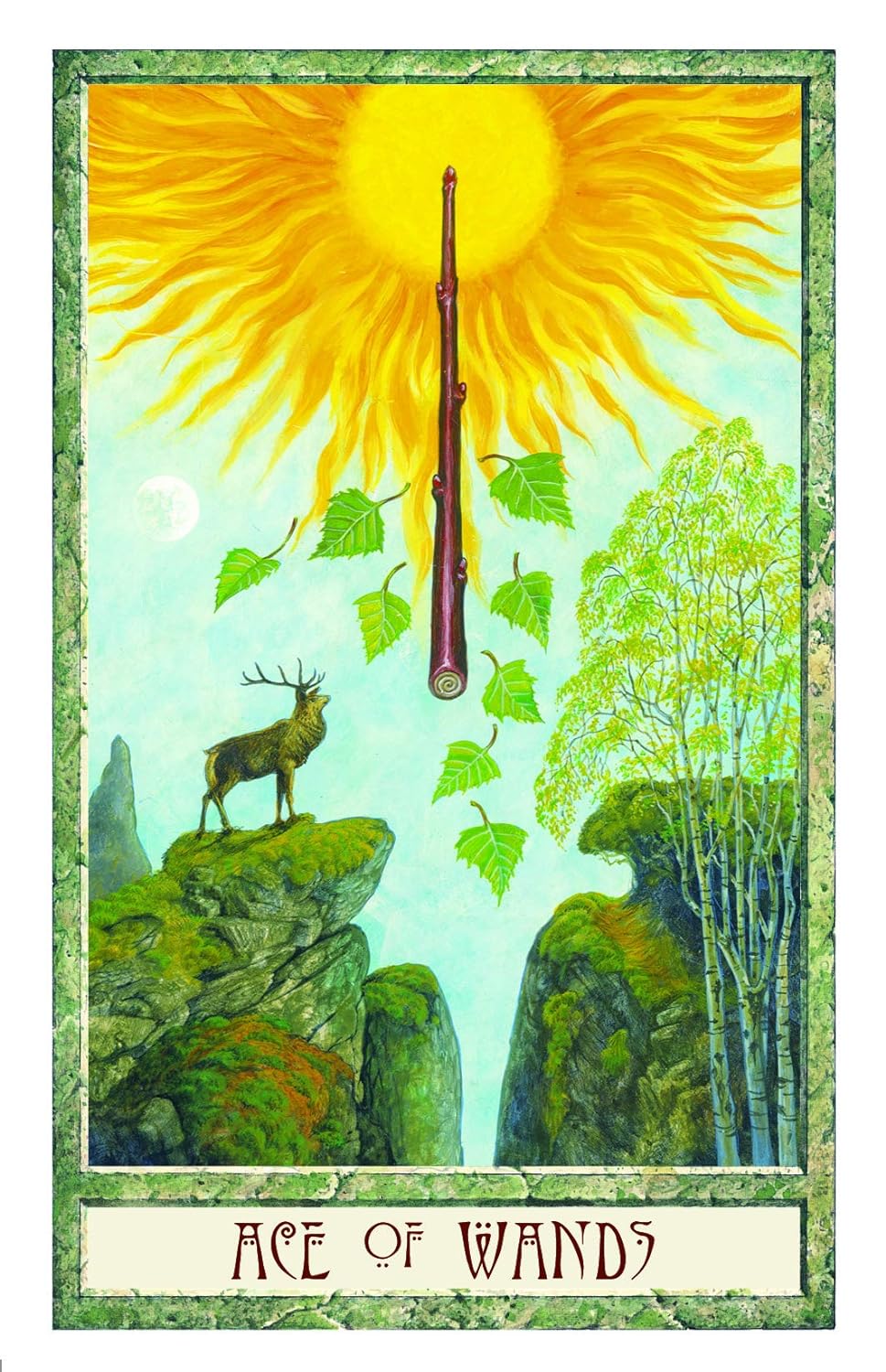 The Druid Plant Oracle