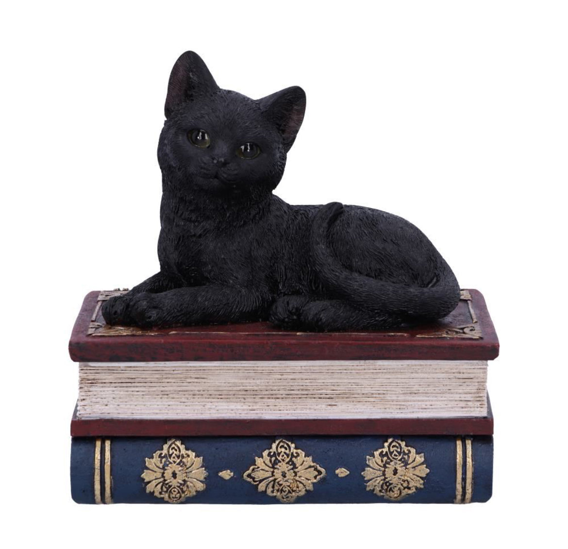 Salem's Spell Box 11.7cm