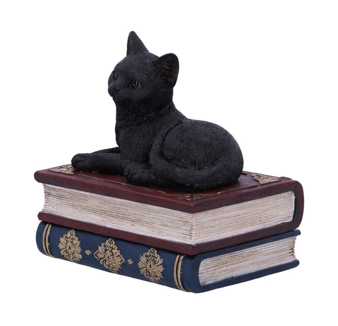 Salem's Spell Box 11.7cm