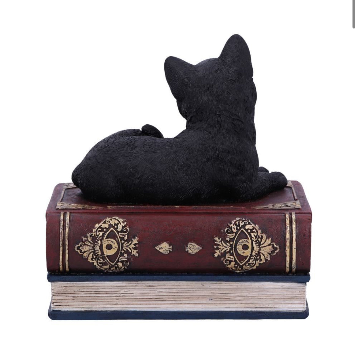 Salem's Spell Box 11.7cm