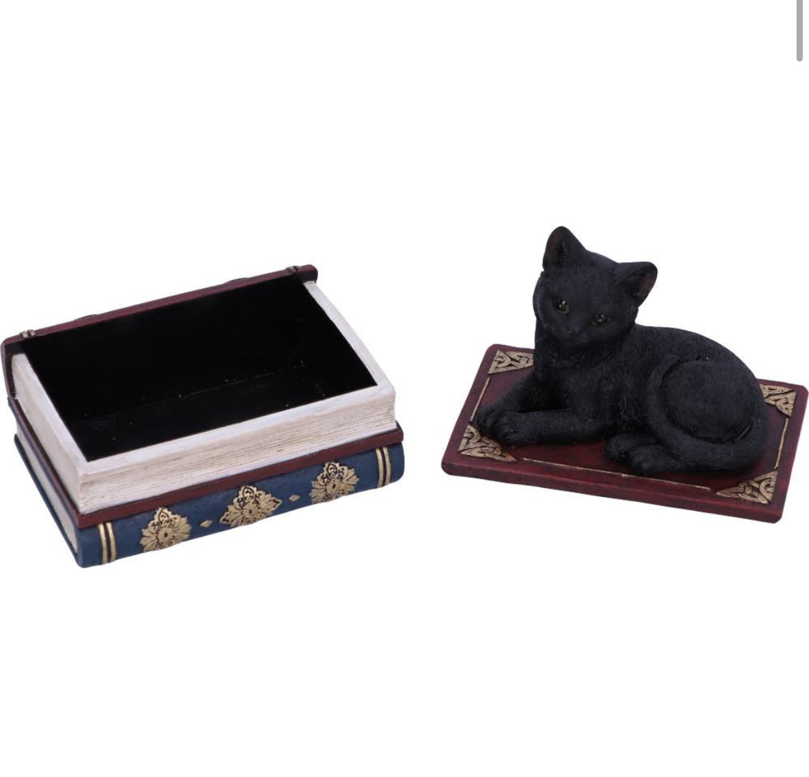 Salem's Spell Box 11.7cm
