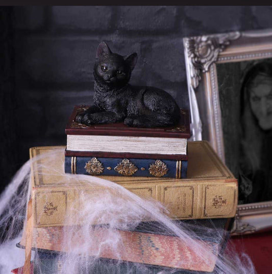 Salem's Spell Box 11.7cm