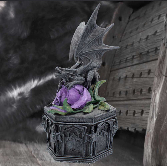Dragon Beauty Box 25cm