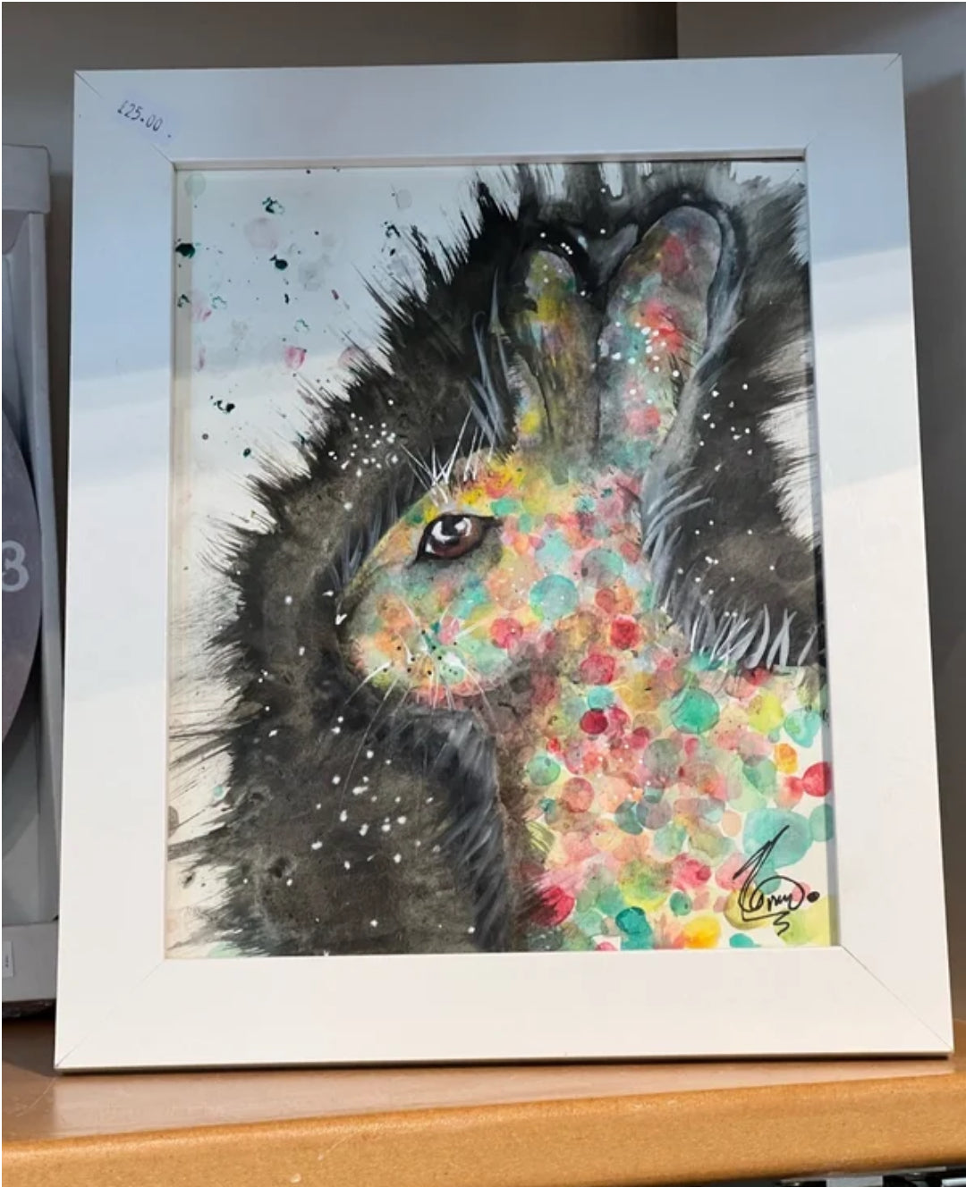 Abundance of colour Hare