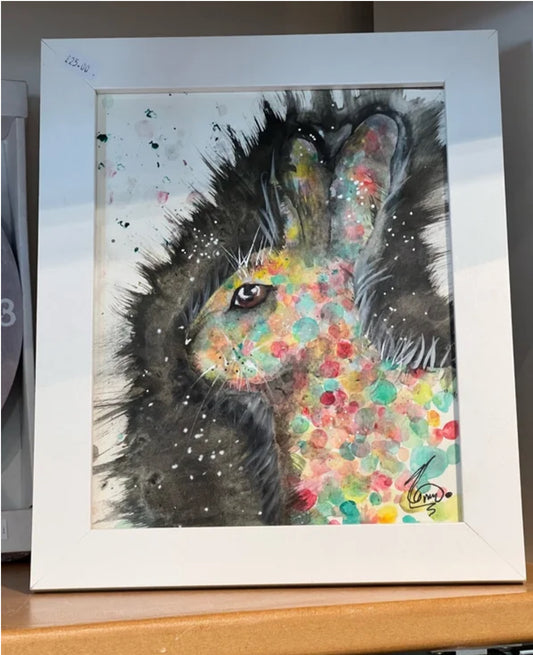 Abundance of colour Hare