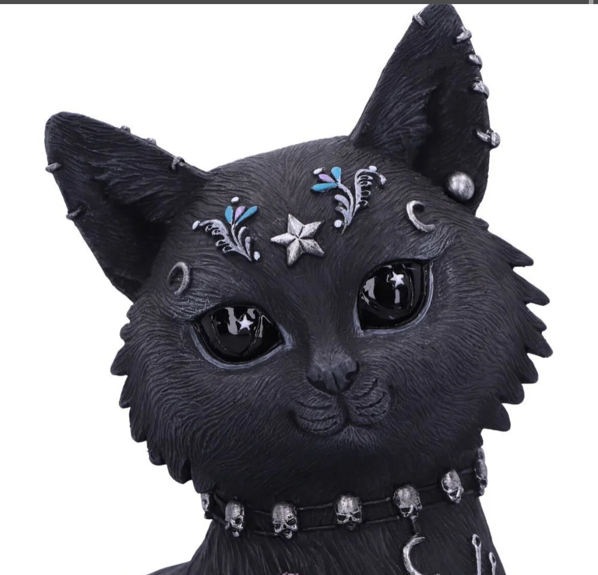 Cat Bad to the Bone