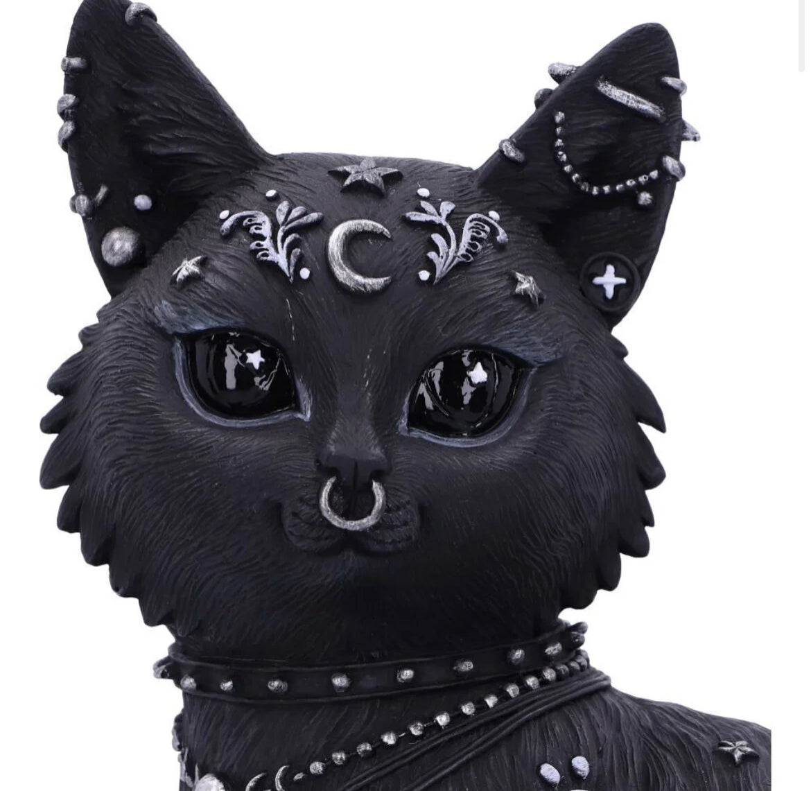 Cat Nine Lives