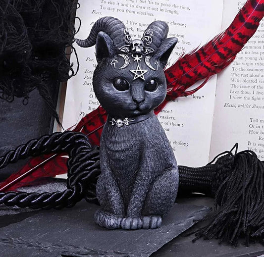 Pawzuph 26.5cm