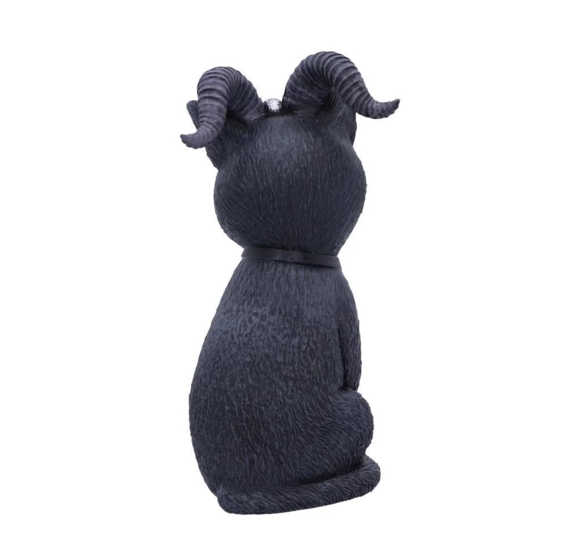 Pawzuph 26.5cm