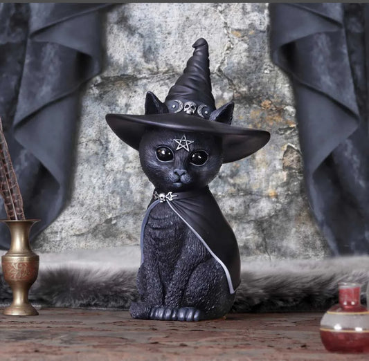 Cat Purrah
