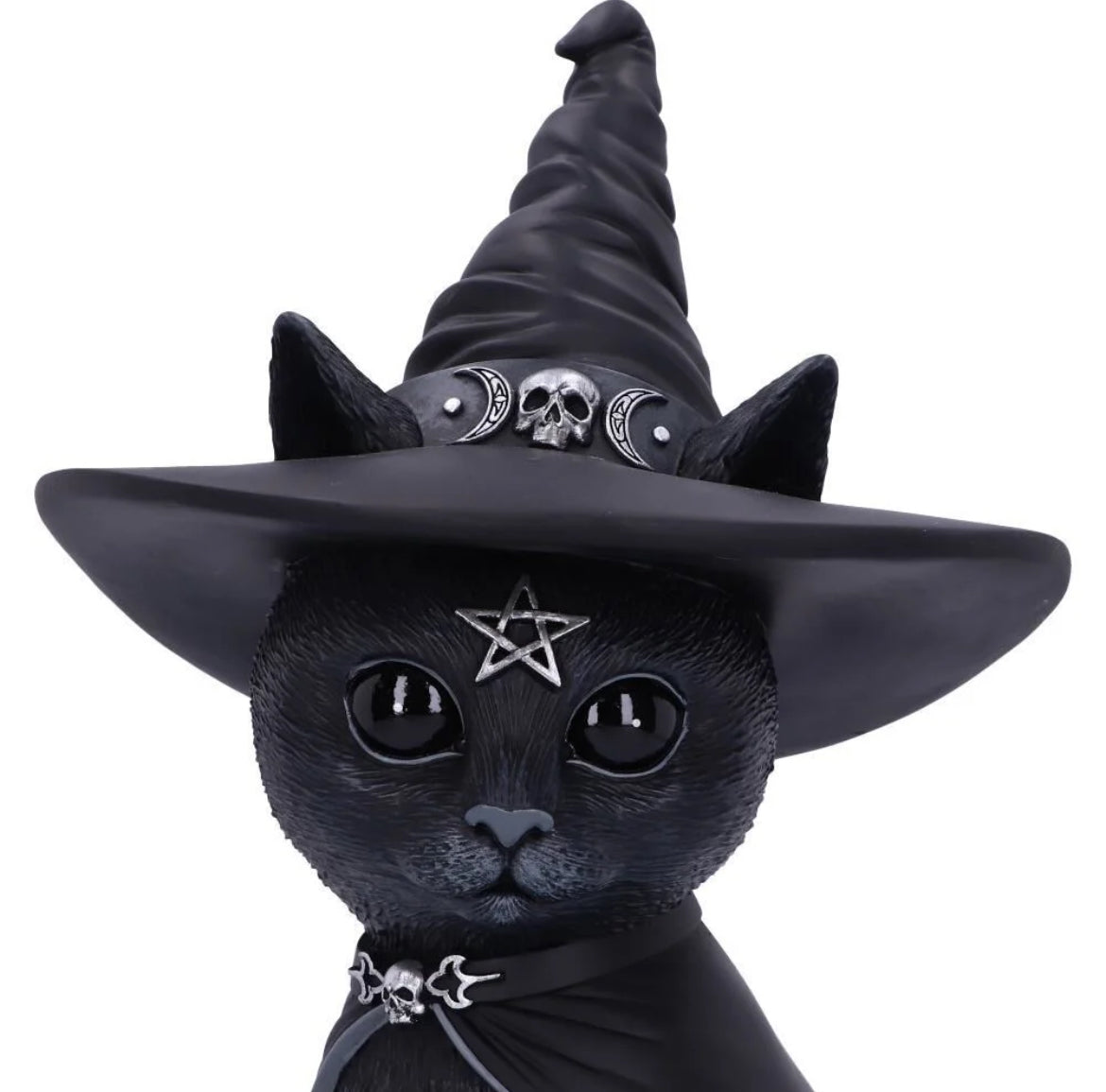 Cat Purrah