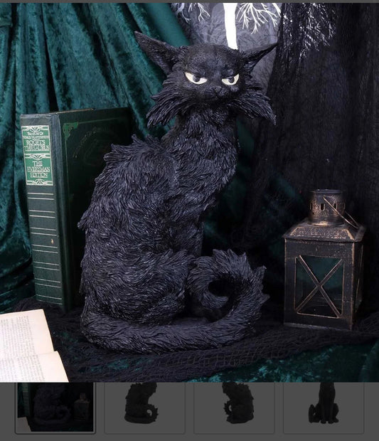 Cat Salem Large 32.5cm